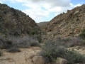 Joshua Tree NP